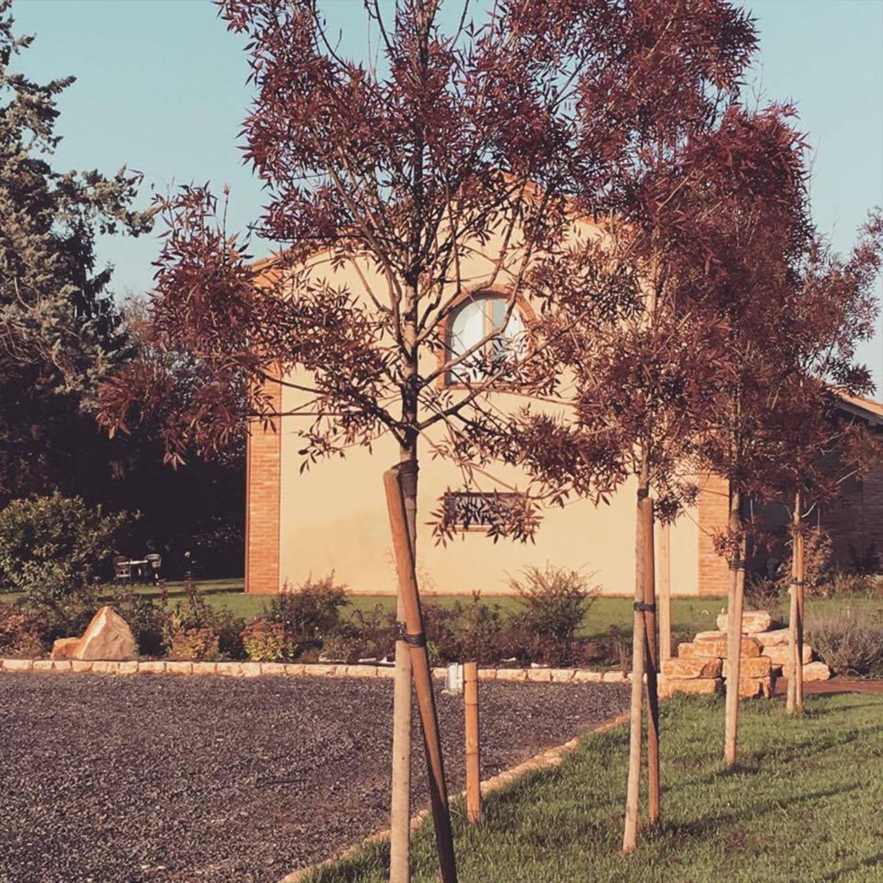 Agriturismo Bassanine Monticelli dʼOngina Exterior foto